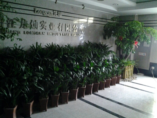 公司案例-杭州办公楼花卉装饰