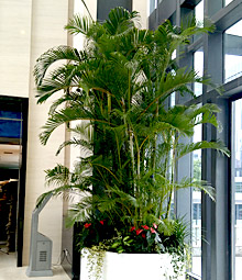 案例展示  前台