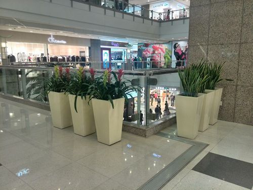 商场植物租赁